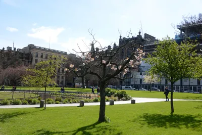 DSC_7331 (Large).JPG